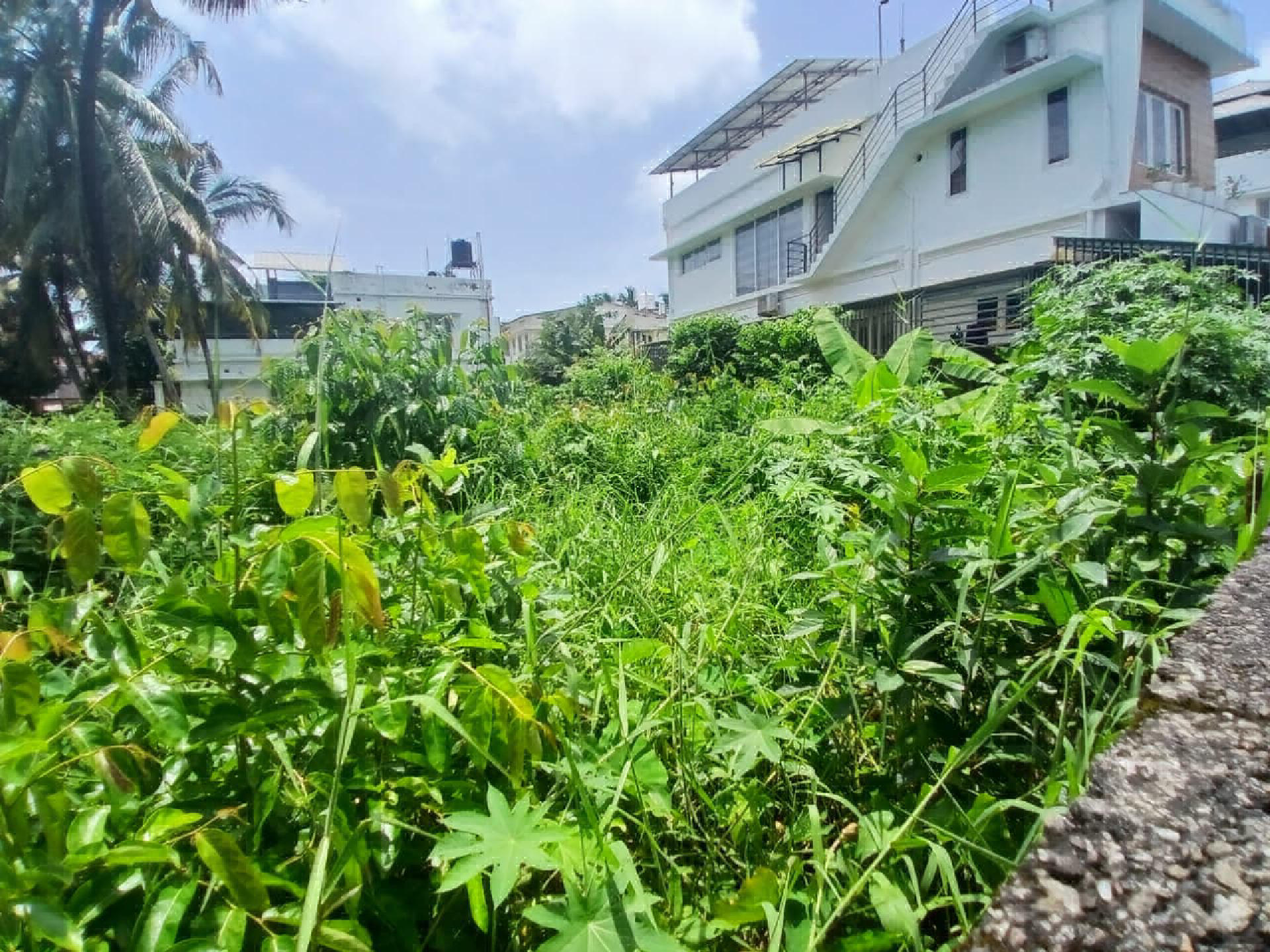 12.8 cents of residential plot for sale at Elamakkara.