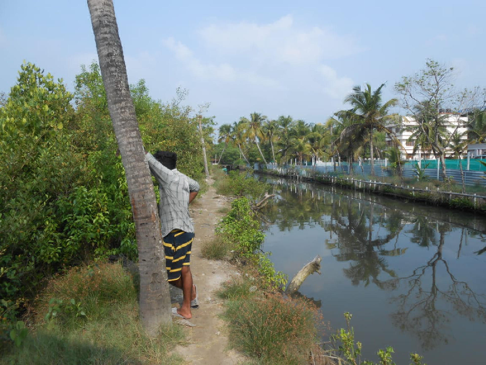 Chemmeen kettu for sale at Varappuzha Toll Junction, Kodungallur-Paravur-Ernakulam Highway, Varapuzha, Varappuzha, Paravur, Ernakulam, Kerala, 683517, India